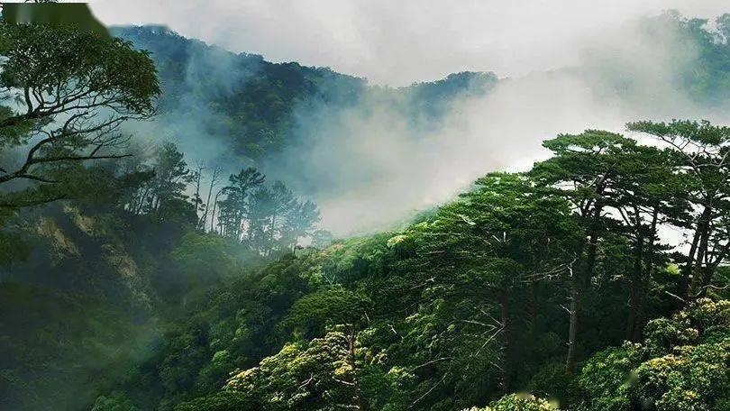 谋杀：灵魂疑犯