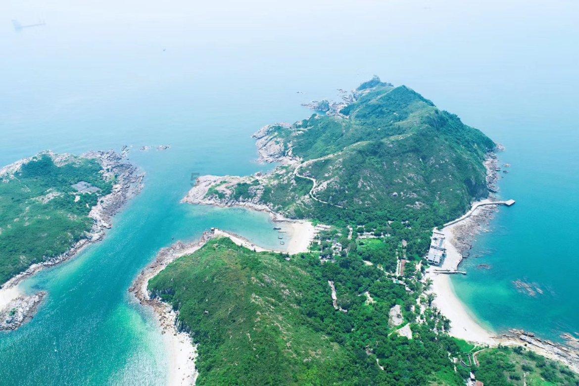 孤独的流浪者救援