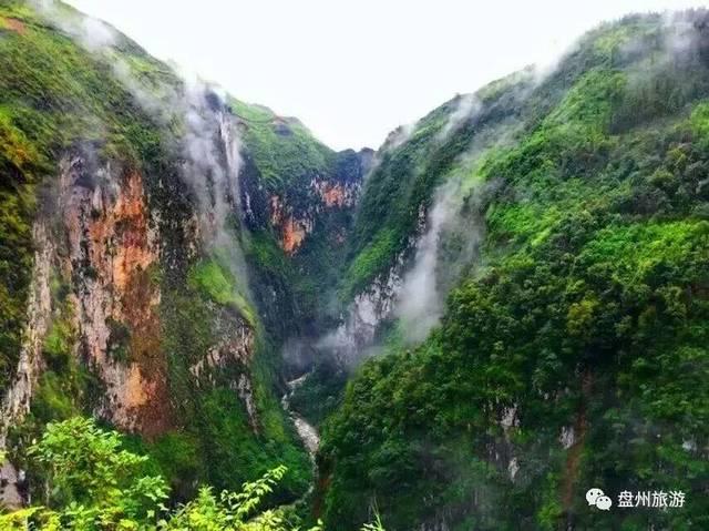 你好邻居