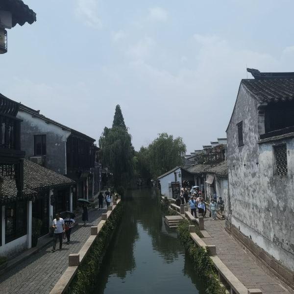 动物帮帮忙保卫家园