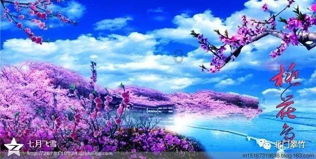 月光影视